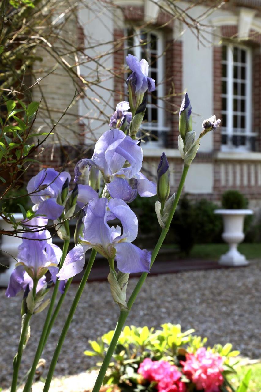 Manoir Le Mesnil Saint-Martin-aux-Chartrains Exterior foto